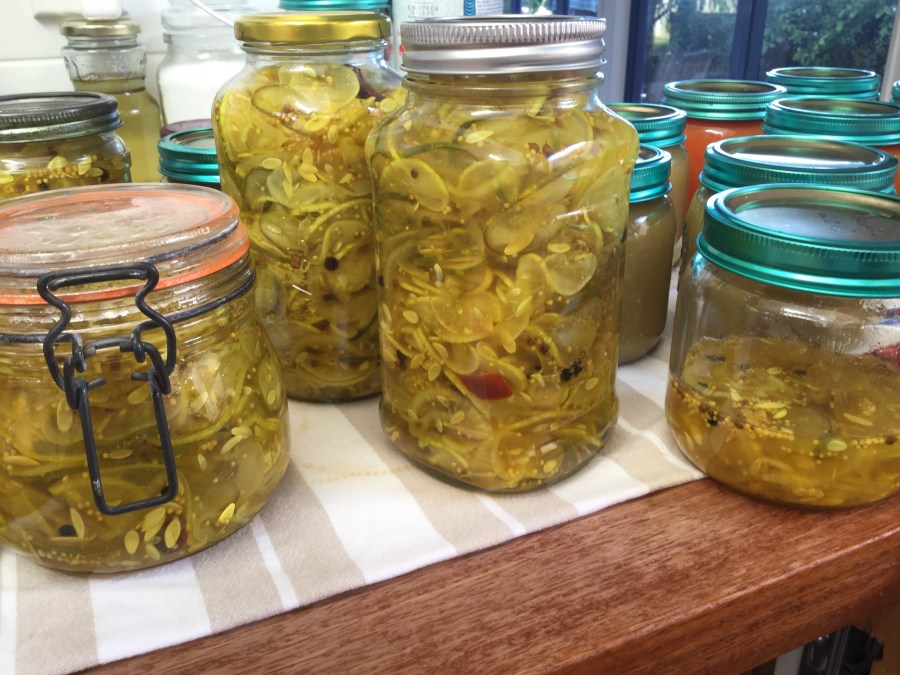 Bread and Butter Pickles