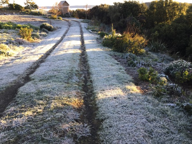Frost on driveway
