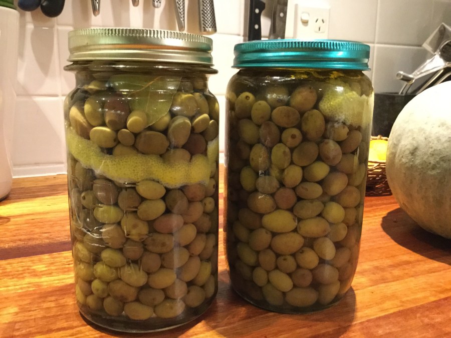 Brine Cured Green Olives