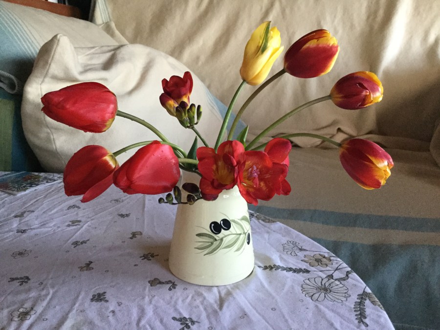 Tulips and Freesias