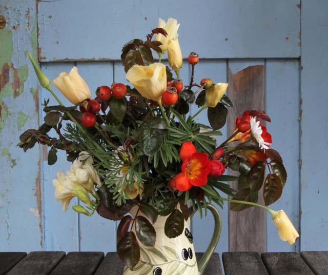 Cut flowers poppies Freesias