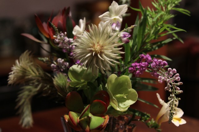 Flannel flower in a vase