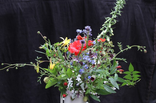 Cut flowers wild flowers