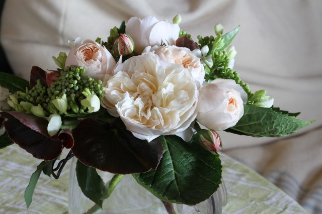 english roses cut flowers