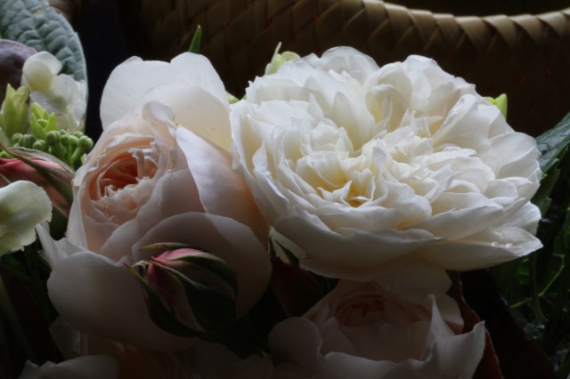 lichfield angel cut flower