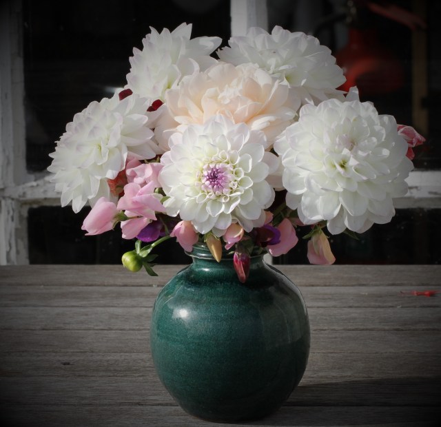 dahlia in Graham Storm vase