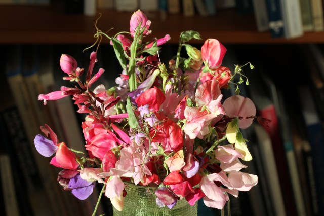 sweet peas antique spice with salvia