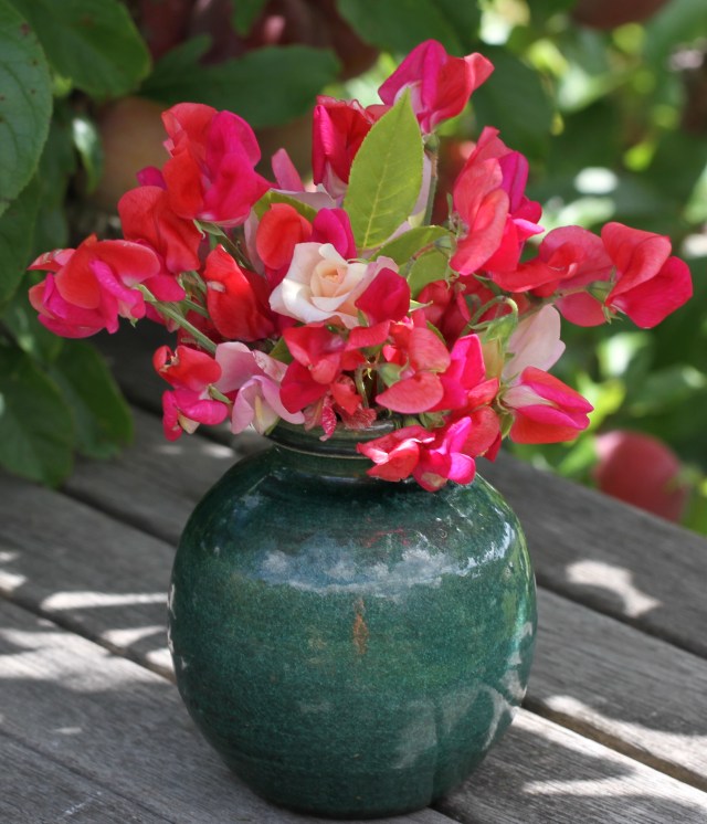 sweet peas cut flowers under plum tree
