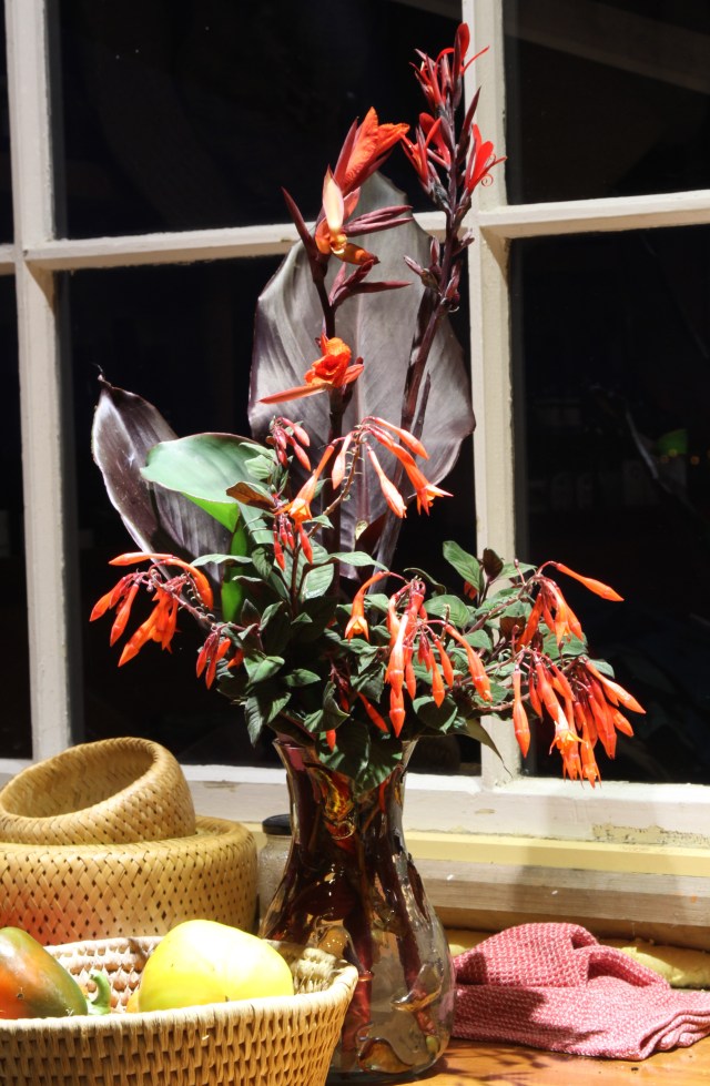 canna and fuscia cut flowers