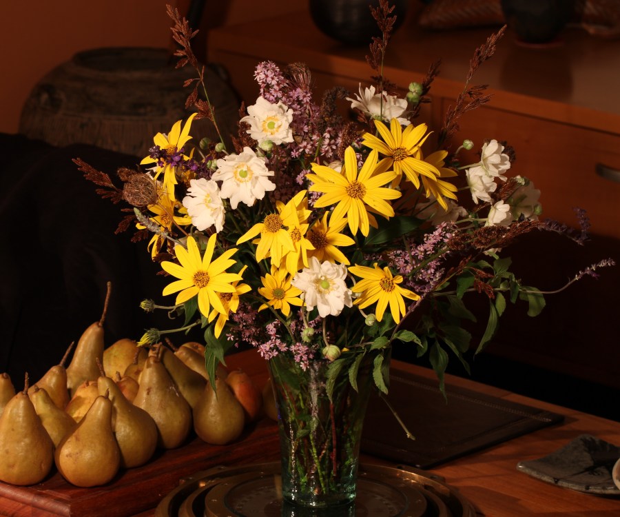 jerusalem artichoke cut flowers
