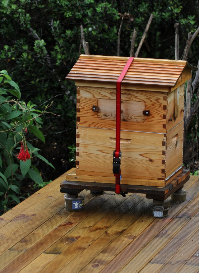 flow hive ready for winter