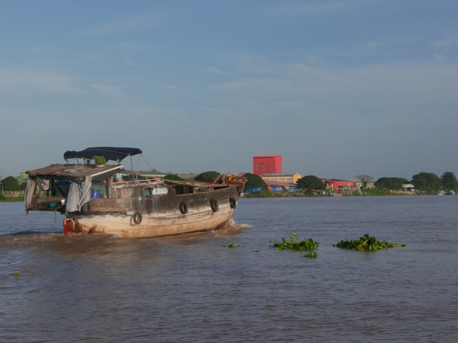 Flowers on boat, Mekong Delta