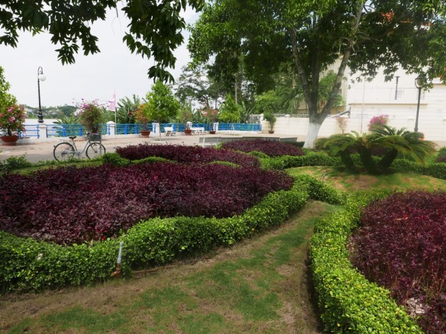 Coloured foliage planting Chau Doc Vietnam