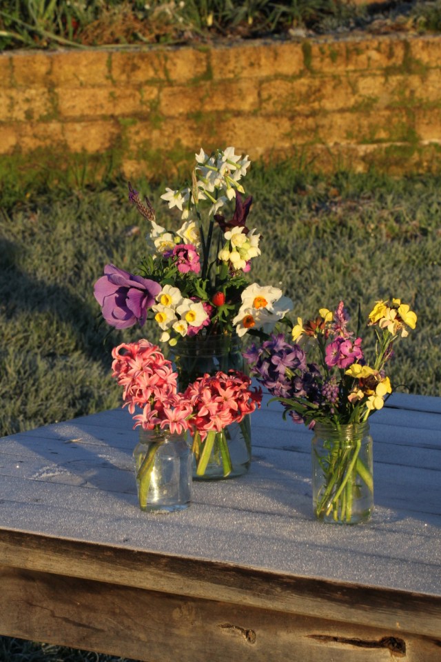 spring flowers cut flowers frost 900