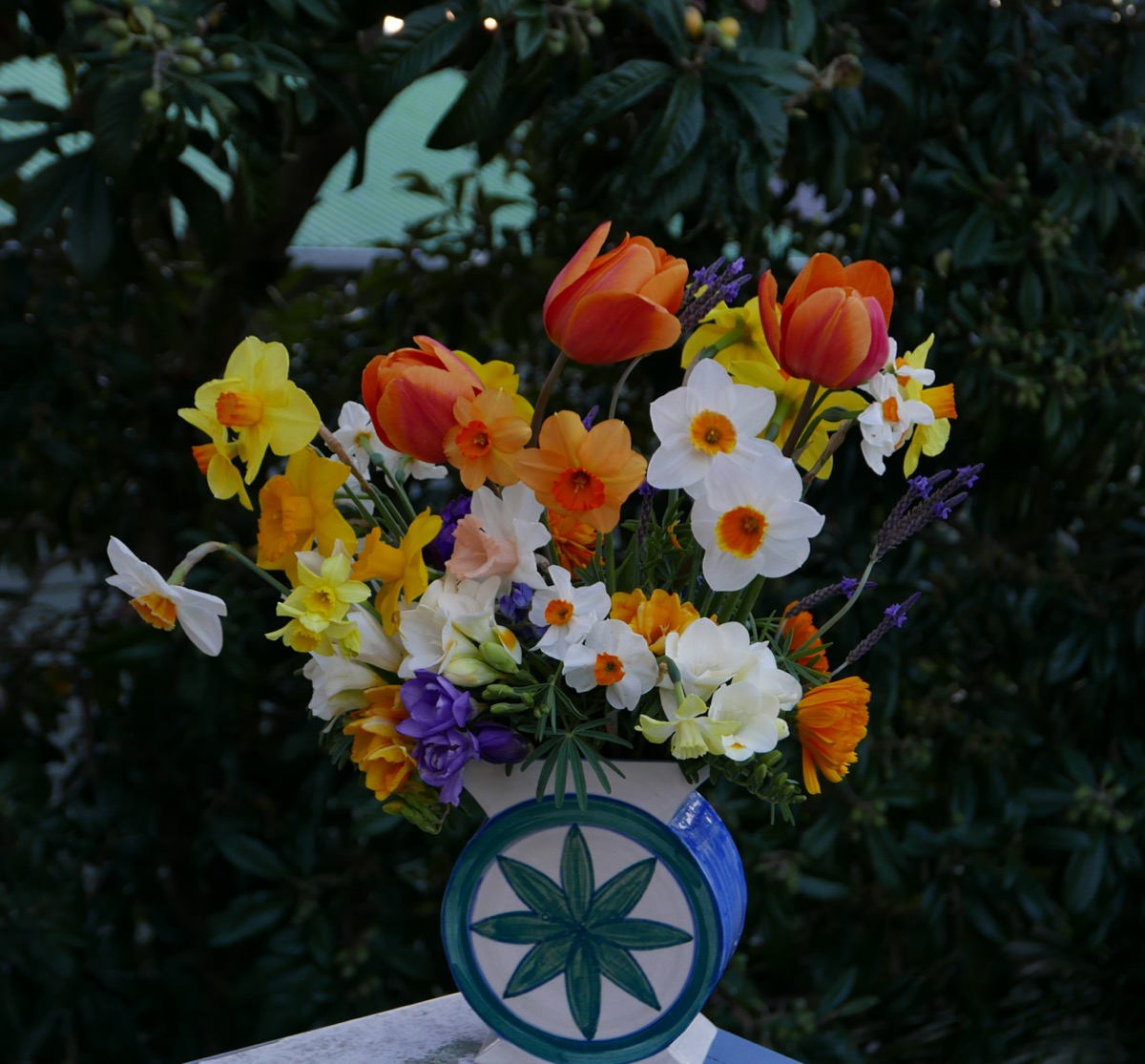 Daffodils and tulips in vase