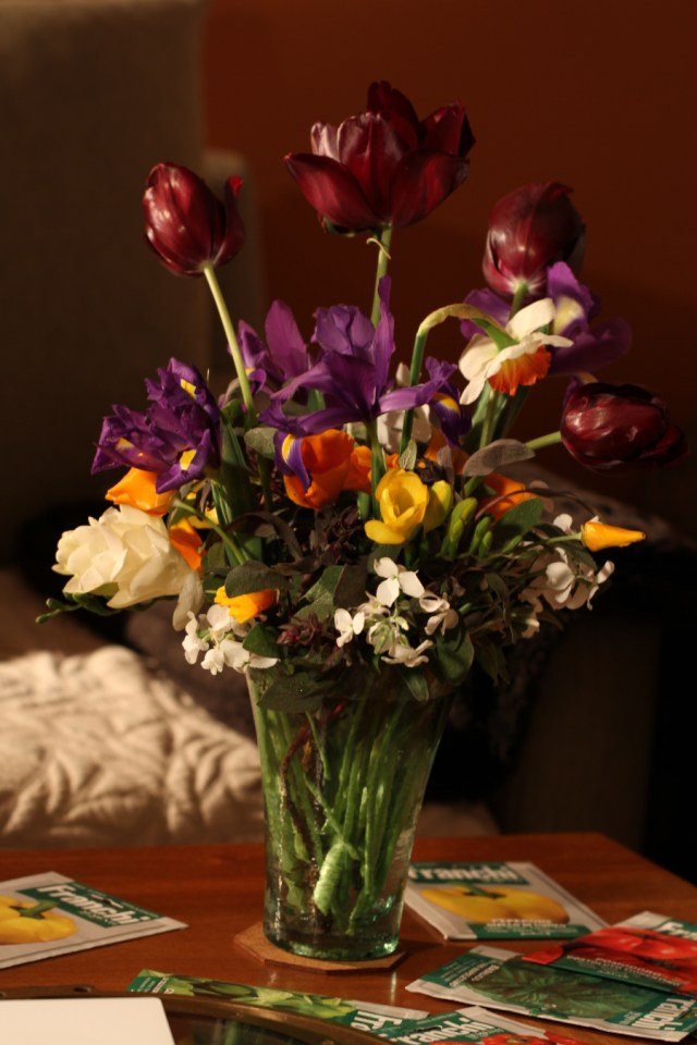 black diamond tulips and dutch iris