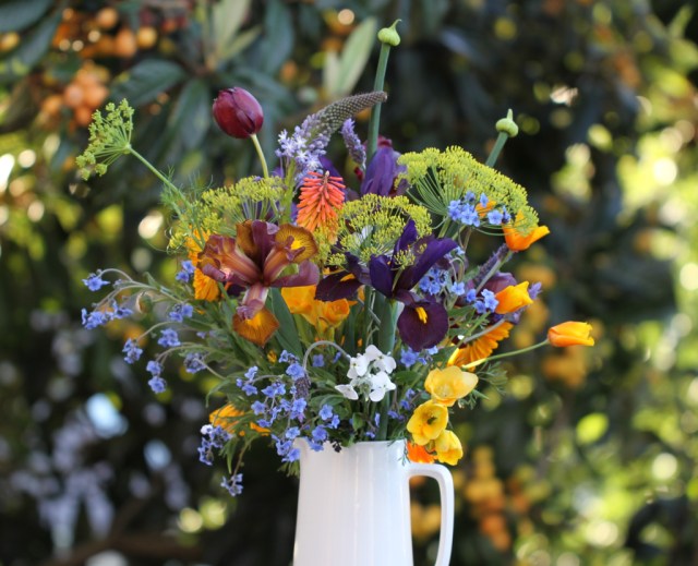 calendula-california-poppies in a-vase