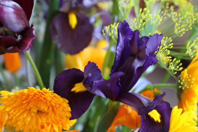 dutch-iris-and-calendula-cut-flowers