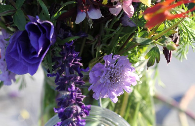 scabiosa with salvia indigo spires and columbine