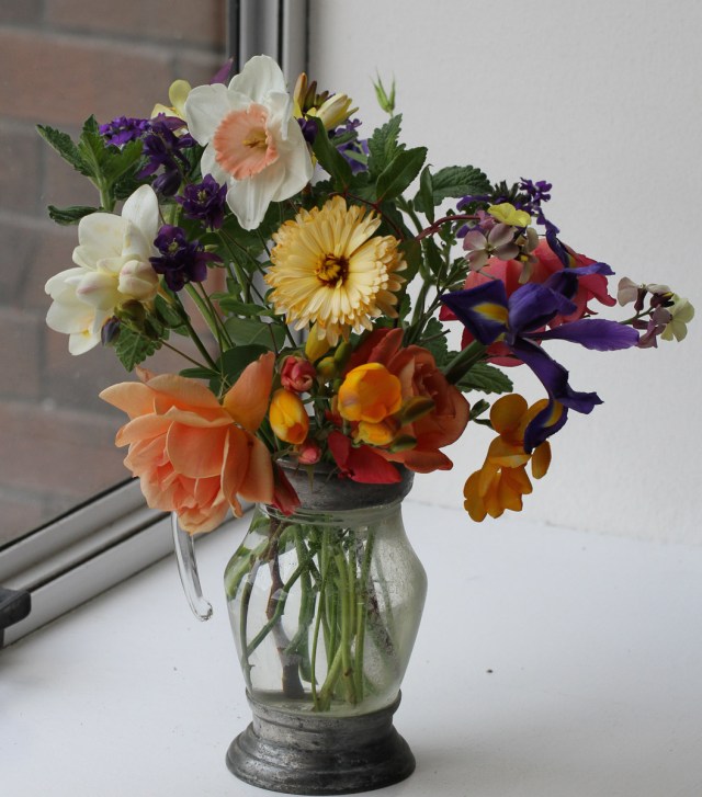 cut flowers with roses, freeias