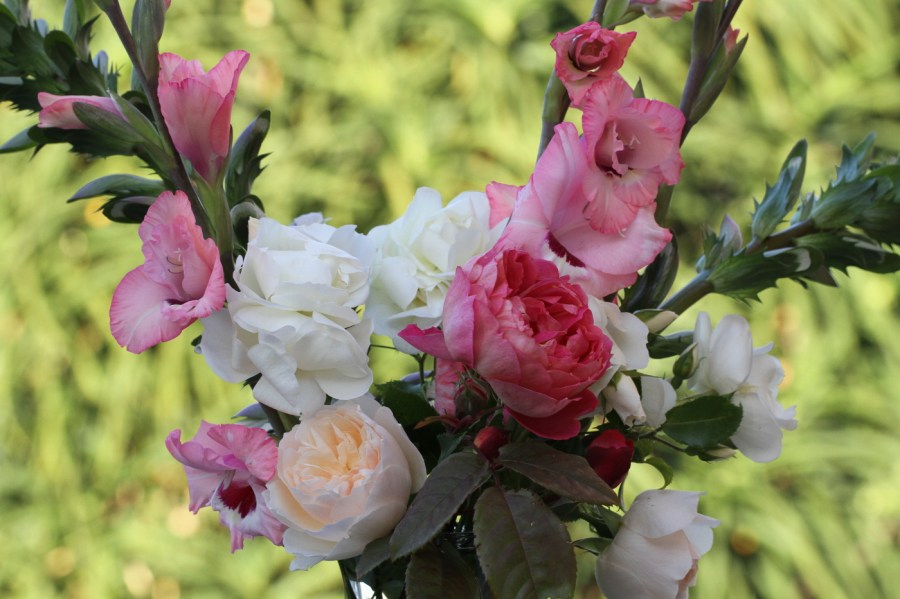 English Roses and gladiolus cut flowers