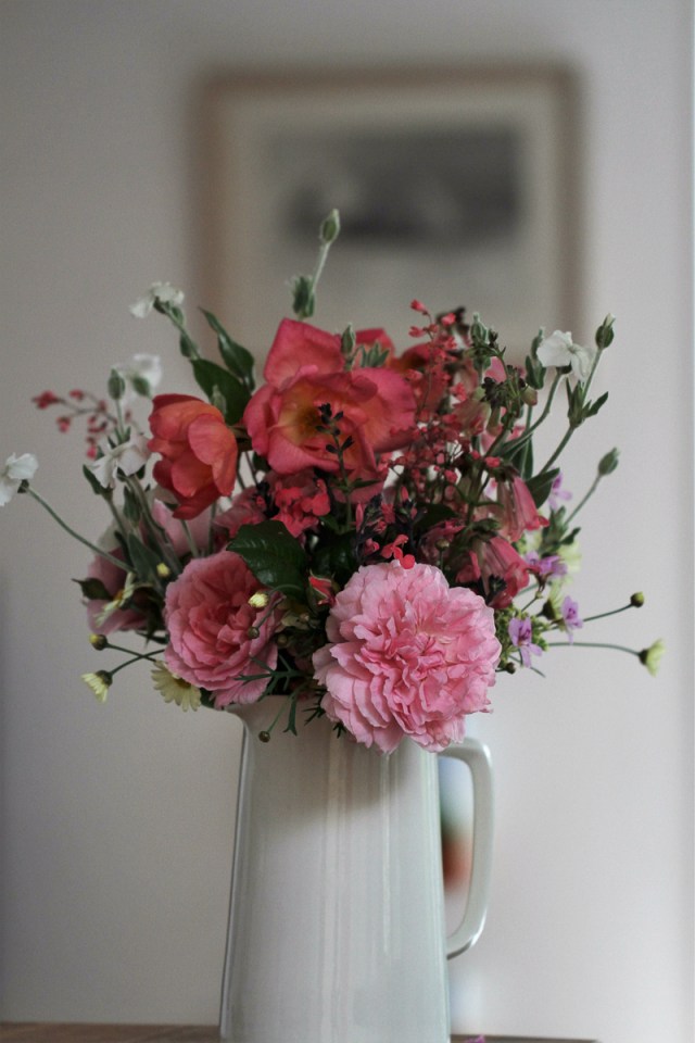 Jug of roses heuchera lychnis and daisies