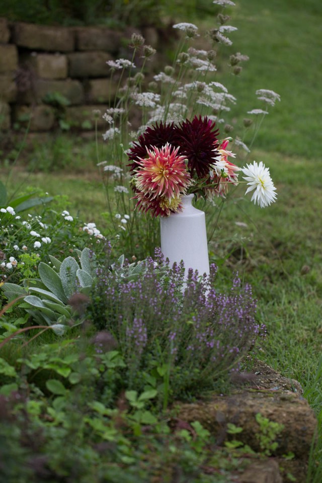 Vase of Dahlias Chat Noir and Akita