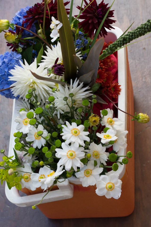 cut flowers in chilly bin