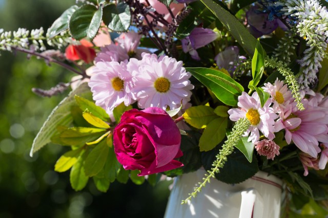 chartreuse de parme rose