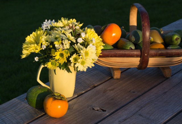 Cut flowers with Feijoas and Persimmons
