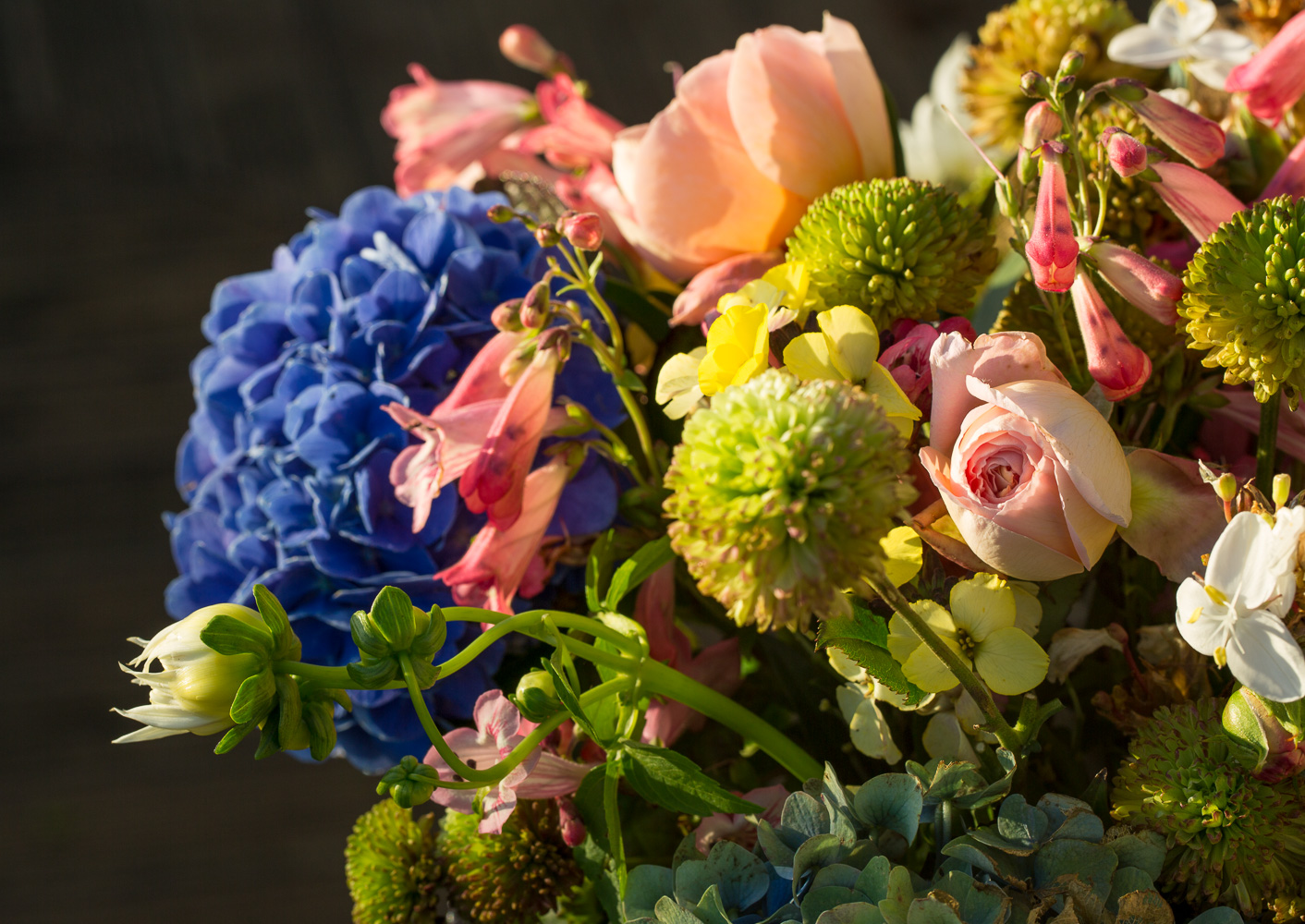 hydrangeas with chrysanthemum cut flowers