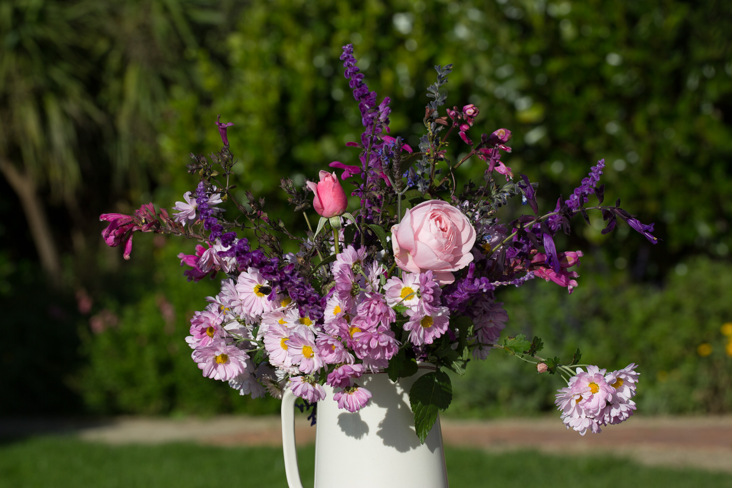 salvia and roses cut flowers