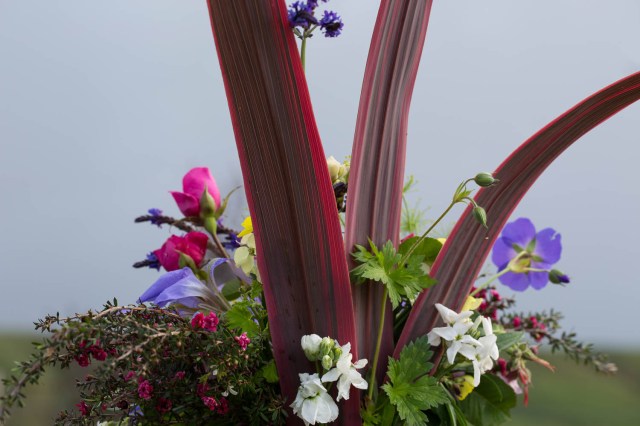 cut flowers with cordyline Magenta Rays