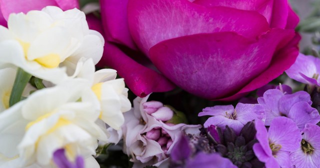 daphne perfume princess cut flower