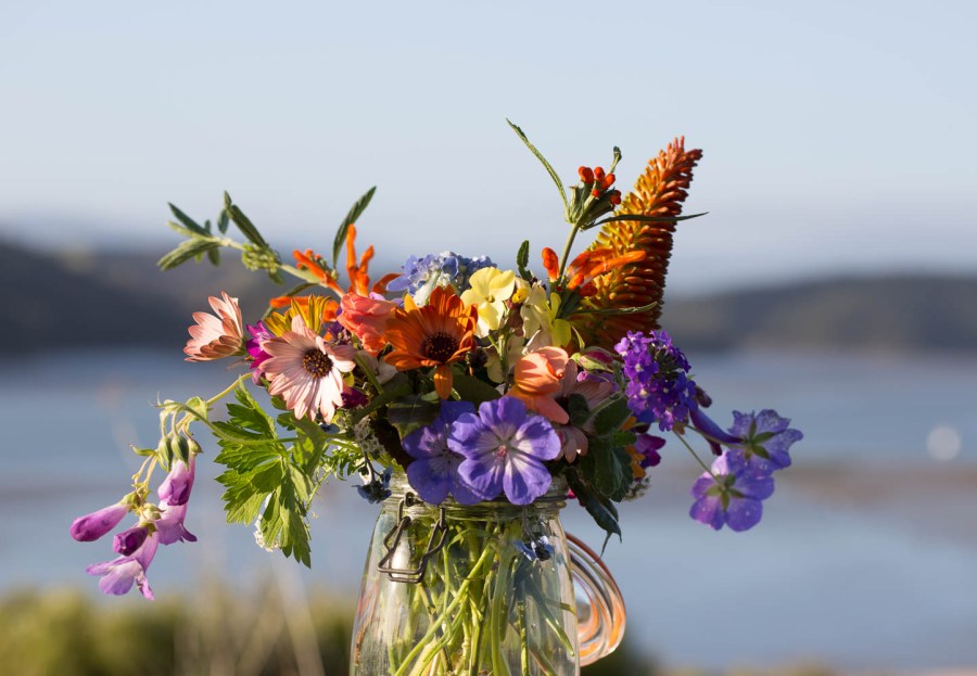 vase of flowers beach in background