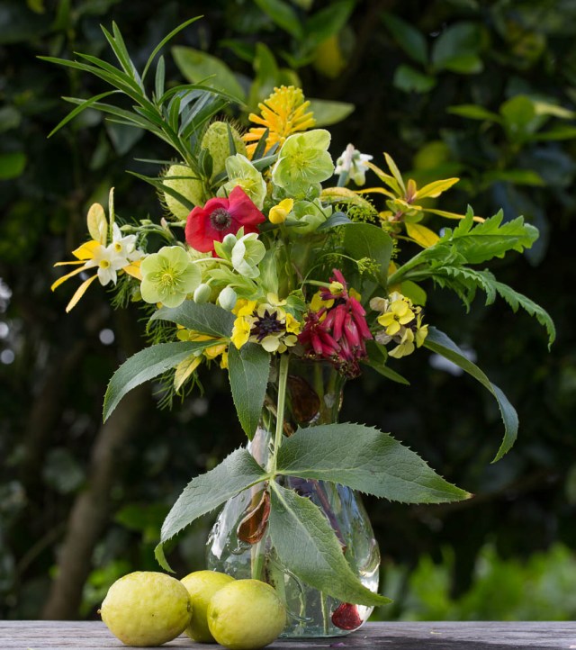 cutflowers and limes
