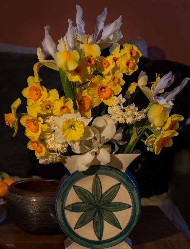 narcissus and dutch iris