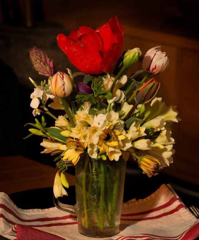 tulips, freesias cut flowers