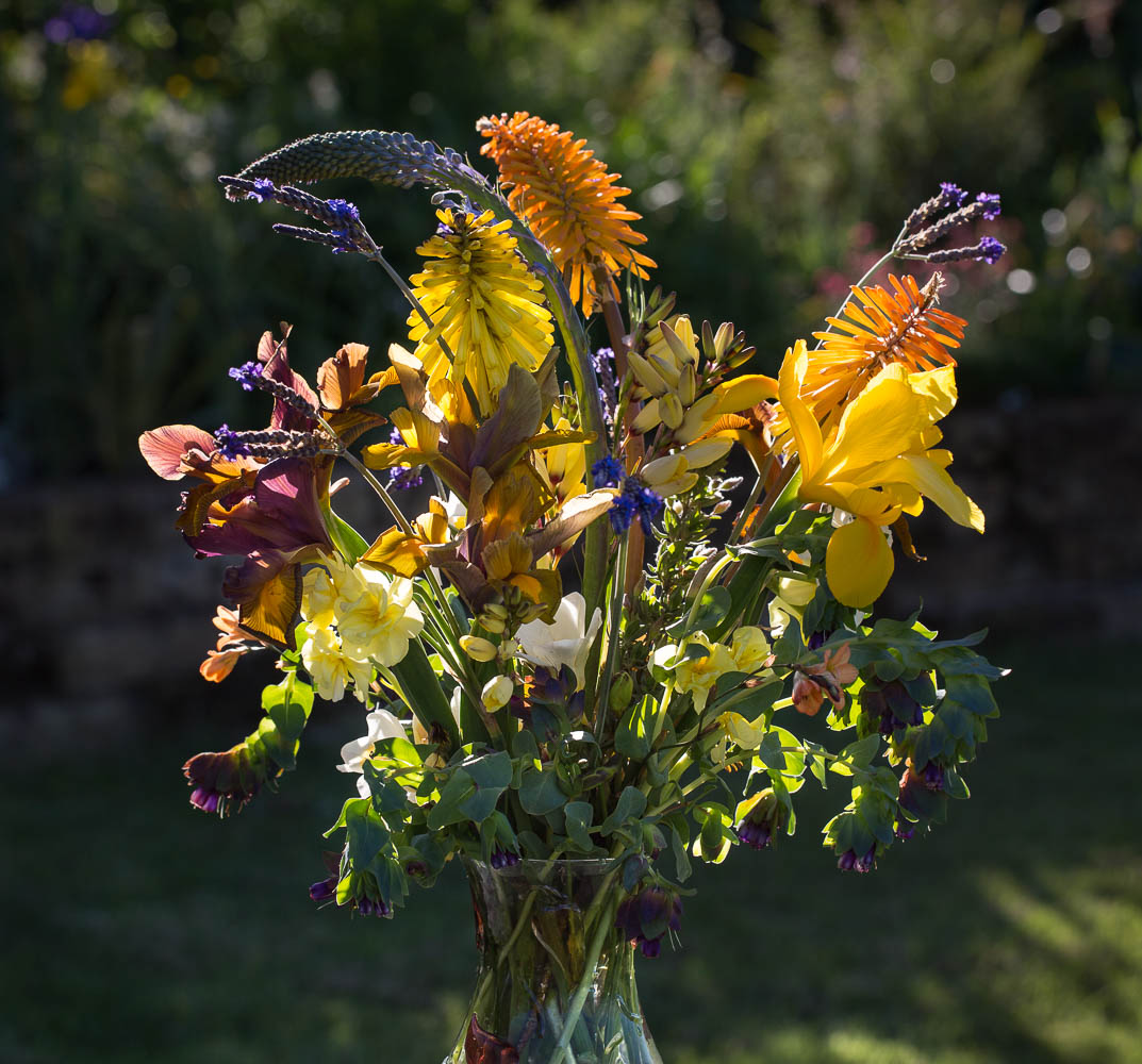 cut flowers iris and kniphofia and honeywort