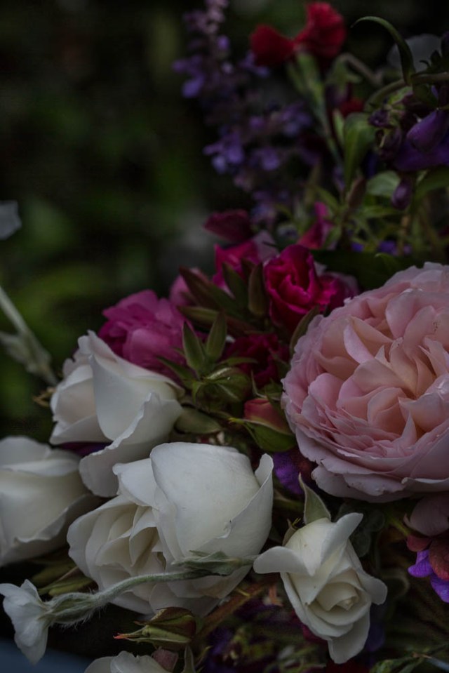 flowers abraham darby rose and iceberg roses