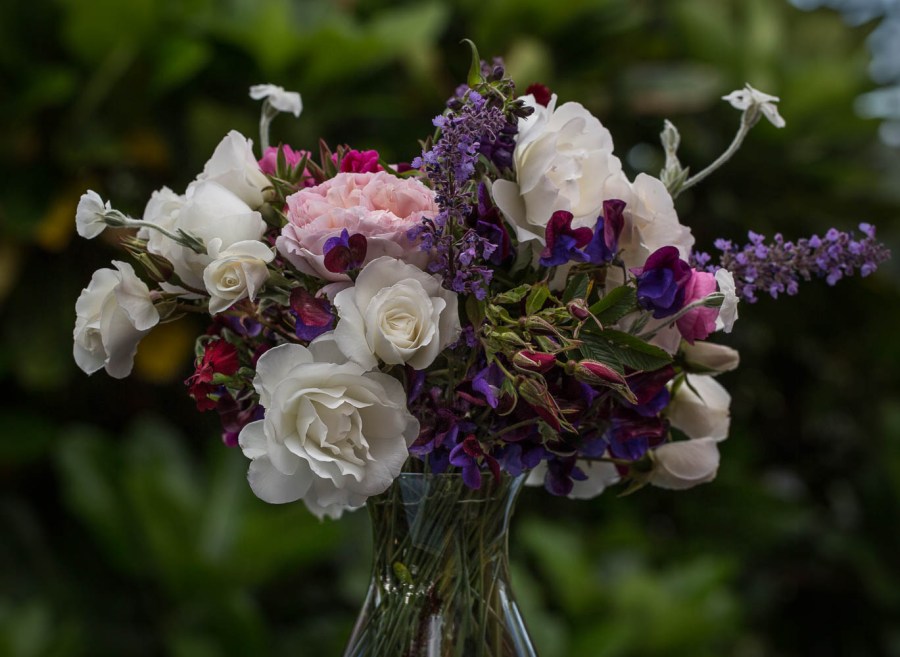 roses in vase - iceberg, rugosa and sweet peas