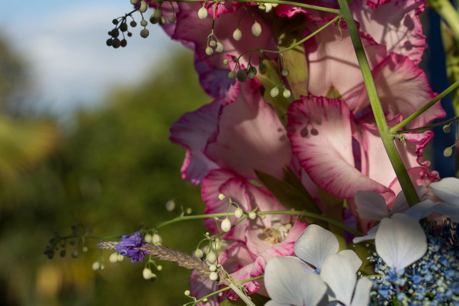 flowers against landscape