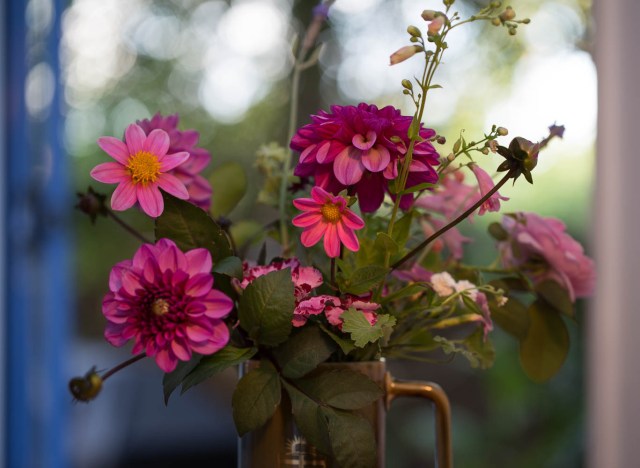 pink dahlias and roses in a vase