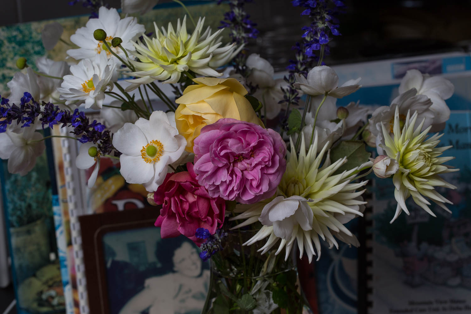 anemone roses and dahlias cut flowers