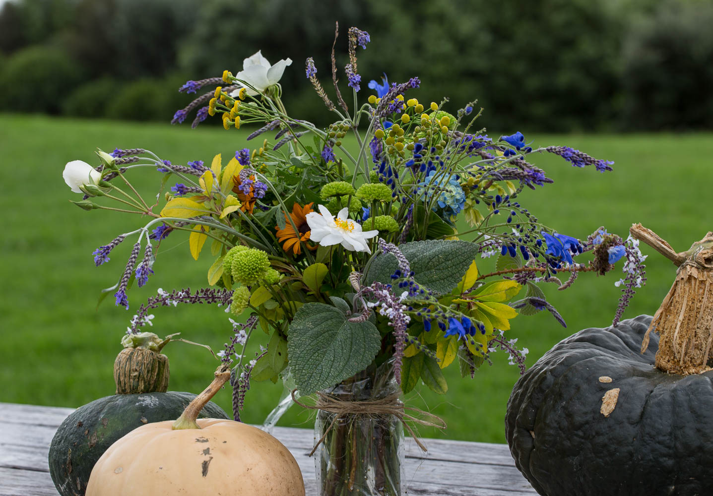 fall flowers and pumpkins